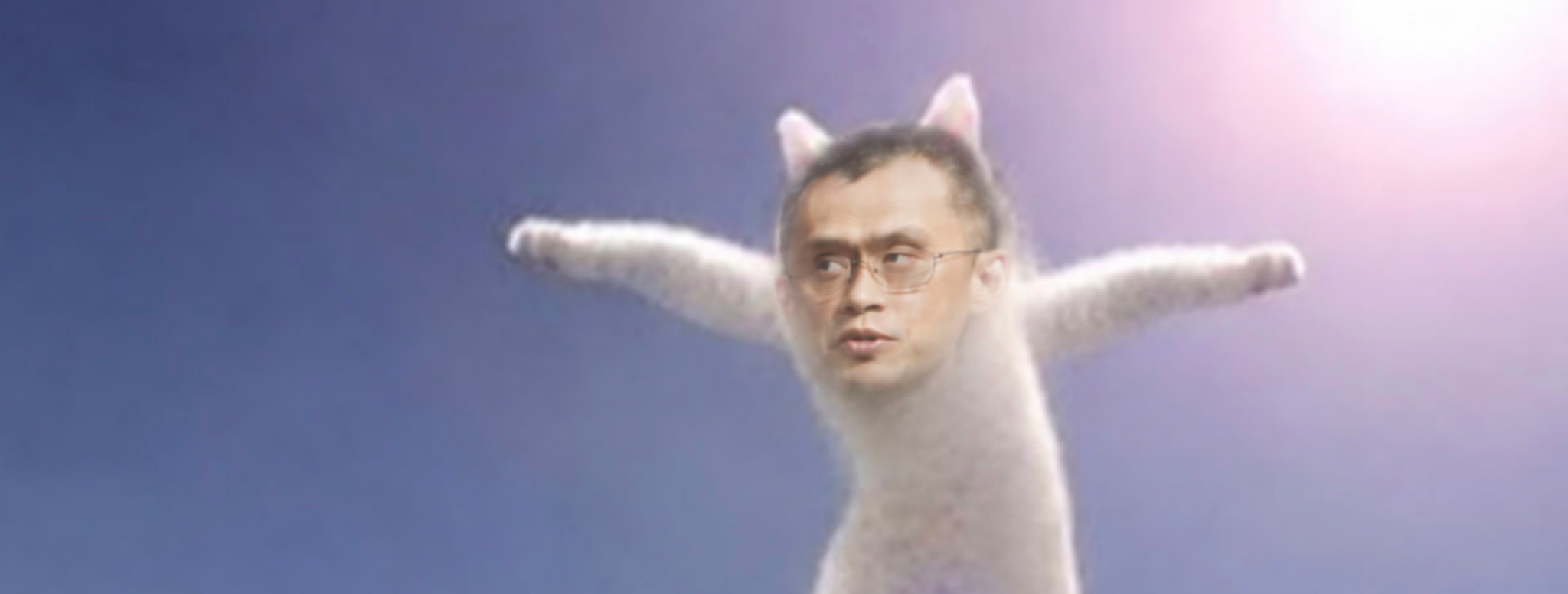 The long cat meme stretching as you move the slider